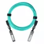 BlueOptics XXVAOCBL30M-BO InfiniBand-kuituvalokaapeli 30 m SFP28