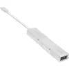 InLine USB-näyttömuunninsarja 6-in-1, 4K/60Hz hopea