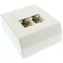InLine Cat.5e verkkorasia 2x RJ45 pinta-asennus valkoinen RAL9010