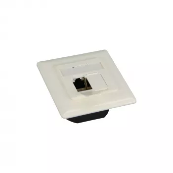 InLine Cat.6 liitäntärasia 2x RJ45 liitin RAL9010 valkoinen vaakasuora