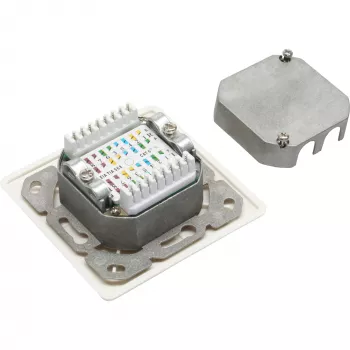 InLine Cat.6 liitäntärasia 2x RJ45 liitin RAL9010 valkoinen vaakasuora
