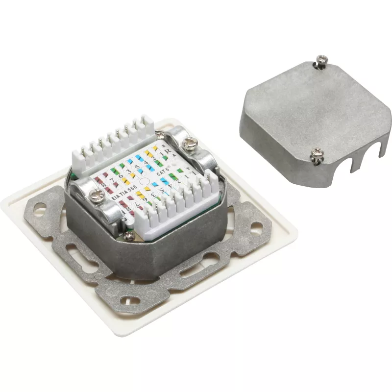 InLine Cat.6 liitäntärasia 2x RJ45 liitin RAL9010 valkoinen vaakasuora