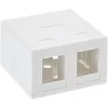 InLine pinta-asennusrasia Keystone 2x RJ45 valkoinen 76202B