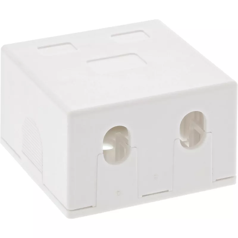 InLine pinta-asennusrasia Keystone 2x RJ45 valkoinen 76202B