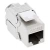 InLine Cat.6A uppoasennusrasia 2x RJ45 valkoinen RAL9010