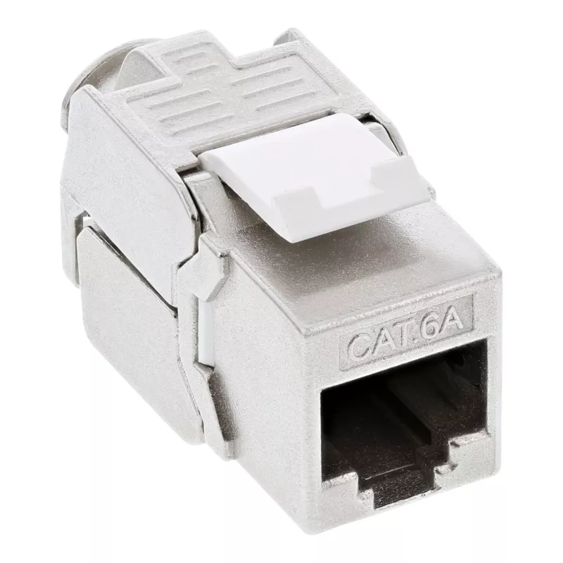 InLine Cat.6A uppoasennusrasia 2x RJ45 valkoinen RAL9010