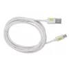 Techly ICOC MUSB20-CMAM20TW USB-kaapeli USB 2.0 2 m USB A USB C valkoinen