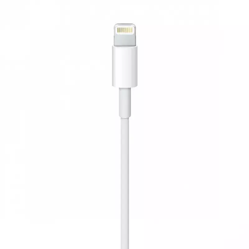 Kaapeli Apple MQUE2ZM 1 m valkoinen