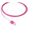 Kuitukaapeli BlueOptics SFP8181FU0.5MK 0,5 m LC OM4
