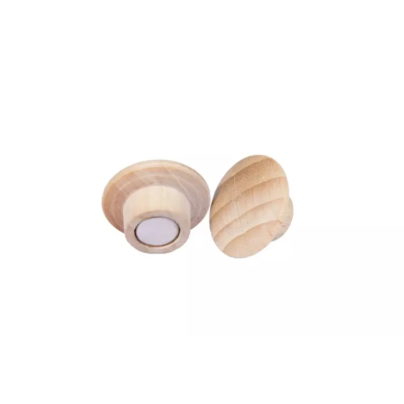 Puulumagneetit Legamaster 25 mm 5 kpl