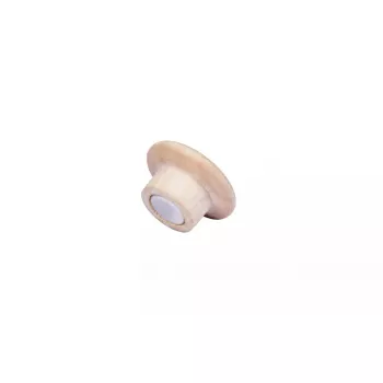 Puulumagneetit Legamaster 25 mm 5 kpl