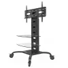 Techly ICA-TR8 digitaalisen näytön teline 177,8 cm (70