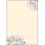 Taidetulostuspaperi Sigel DP904 50 arkkia