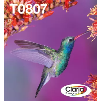 Mustepatruunoiden monipakkaus Epson Hummingbird T0807 — 6 väriä (musta, syaani, vaaleasyyaani, vaaleamagenta, magenta, keltainen)