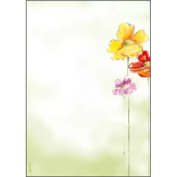 Kunstpapier Sigel DP123 50 arkkia