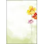 Kunstpapier Sigel DP123 50 arkkia