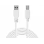 Sandberg USB 3.0 A-B-kaapeli 1,8 m, 1,8 m, USB A, USB B, USB 3.2 Gen 1 (3.1 Gen 1), 5 Gbit/s, valkoinen