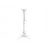 Kattoteline Multibrackets M Universal Projector Mount I