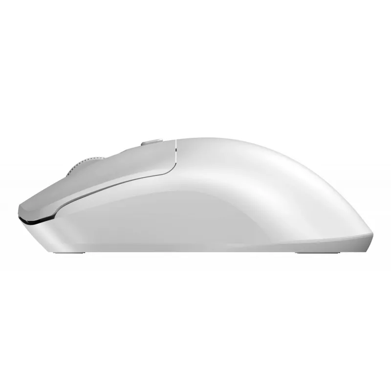 Sandberg Wireless Mouse Saver valkoinen, molempikätinen, RF Wireless, 1600 DPI