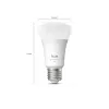 Philips Hue White and colour ambience A60 – E27 älylamppu – 810