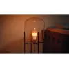 Philips Hue White and colour ambience A60 – E27 älylamppu – 810