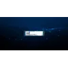 Kingston Technology 240G DC2000B PCIe 4.0 M.2 2280 yritys-SSD (ilman jäähdytyssiiliä)