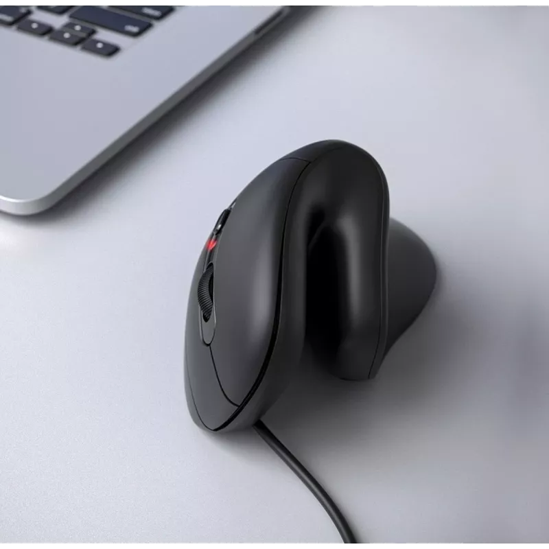 Equip 245119 hiiri yleispätevä oikeakätinen USB Type-A + USB Type-C optinen 7200 DPI