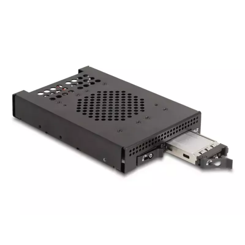 HDD Cage DeLOCK 47070 rack-yhteensopiva metalli 100 mm leveys
