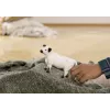 Schleich Galloway-lehmä 13960 musta-valkoinen suositeltu ikä 3+