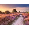 Palapeli Ravensburger Pink Pathway Alankomaat, 1000 palaa, 700×? mm, 2 mm paksu