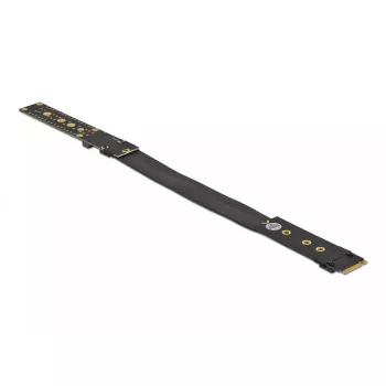 Riser-kortti M.2 Key M DeLOCK 64136