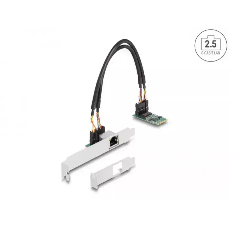 DeLOCK 95272 sisäinen verkkokortti 2500 Mbit/s langallinen M.2 Ethernet