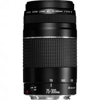 Canon EF 75-300mm f/4-5.6 III objektiivi