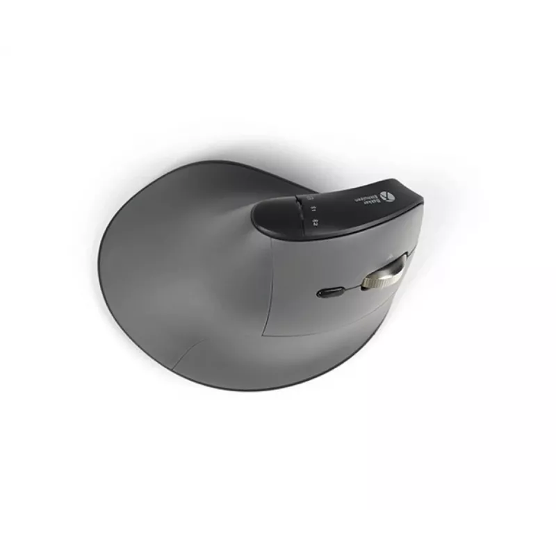 BakkerElkhuizen FastForward Pro hiiri, oikeakätinen, pystysuunnittelu, optinen, RF Wireless + Bluetooth + USB Type-C, 5000 DPI, musta, harmaa