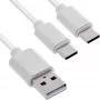 InLine 35122W USB-kaapeli USB 2.0 2 m USB A 2 x USB C valkoinen