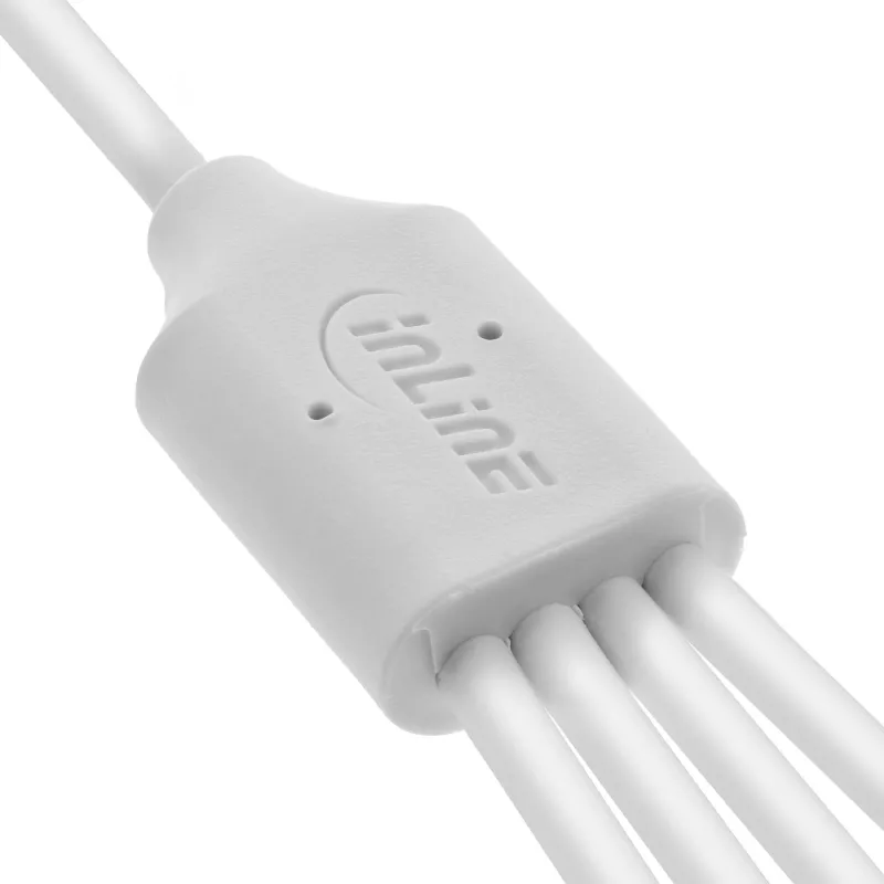 InLine 35142W USB-kaapeli USB 2.0 2 m USB A 4 x USB-C valkoinen