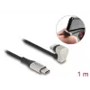 Data- ja latauskaapeli DeLOCK USB Type-C Lightning 1 m 3 A