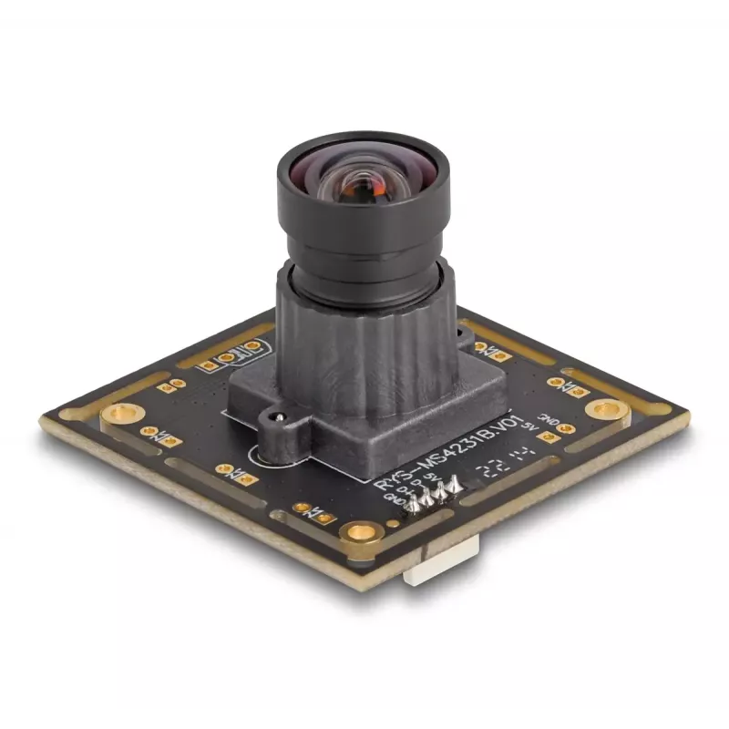 DeLOCK 12069 -verkkokamera 2,1 MP 1920 x 1080 pikseliä USB 2.0 musta