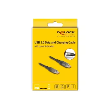Kaapeli DeLOCK USB Type-C - USB Type-C PD 3.0 100 W USB 2.0 -tiedonsiirto 2 m tehonäytöllä