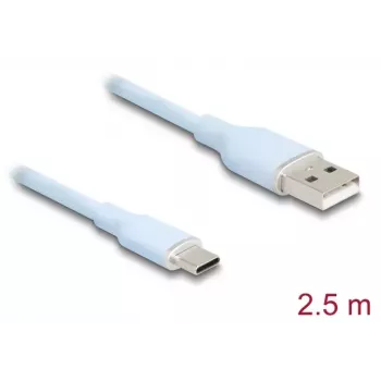 DeLOCK USB-kaapeli USB 2.0 2,5 m USB A USB C sininen