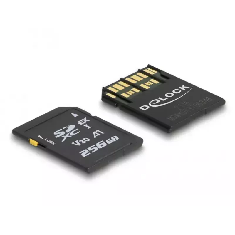 Muistikortti DeLOCK 256 GB SD UHS-I 54091