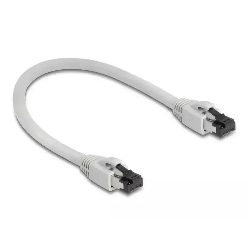 Verkkokaapeli DeLOCK 80556 RJ-45 Cat8.1 0,25 m harmaa