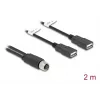 DeLOCK anturi-/toimilaitekaapeli 2 m M12 2 x USB Type-A musta 60291