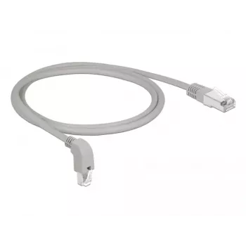 Verkkokaapeli DeLOCK 85874 RJ-45 Cat6a 1 m harmaa