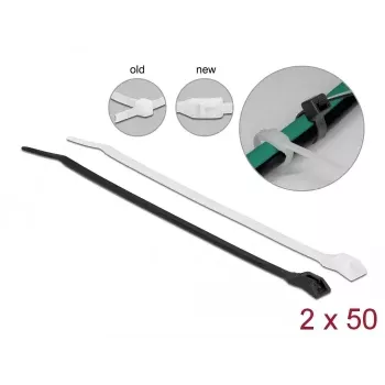 Nippuside DeLOCK 19464 P 110 x L 2,5 mm 100 kpl