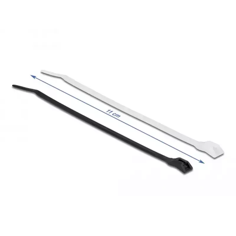Nippuside DeLOCK 19464 P 110 x L 2,5 mm 100 kpl