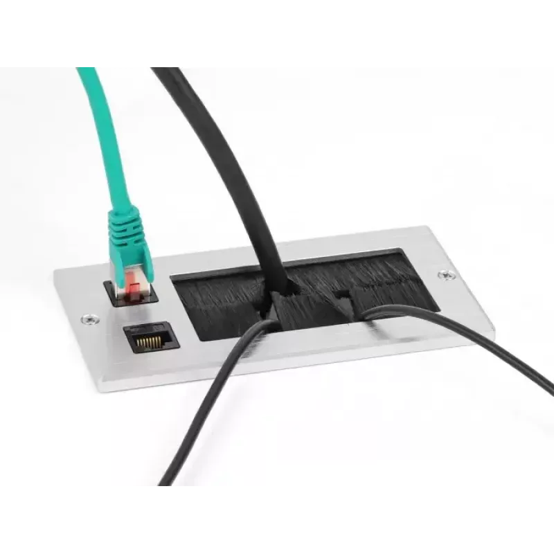 DeLOCK kaapelinläpivienti harjalla ja 2 x RJ45 Keystone -moduuli Cat.6 alumiini