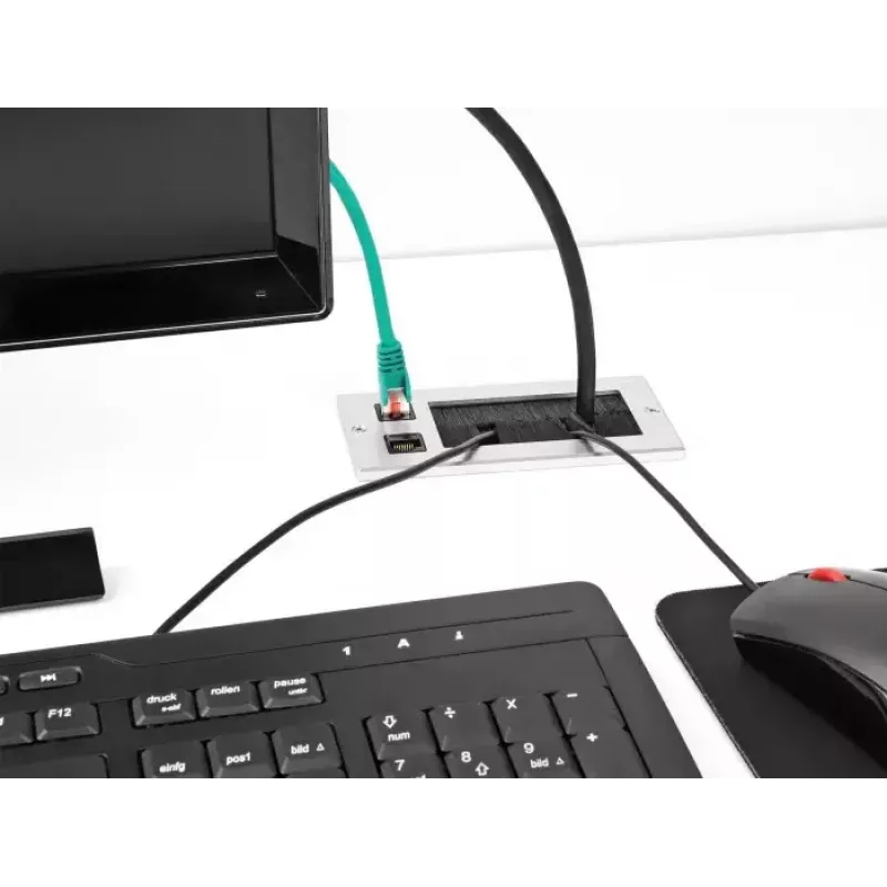 DeLOCK kaapelinläpivienti harjalla ja 2 x RJ45 Keystone -moduuli Cat.6 alumiini
