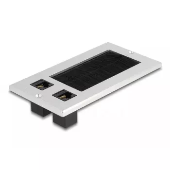 DeLOCK kaapelinläpivienti harjalla ja 2 x RJ45 Keystone -moduuli Cat.6 alumiini