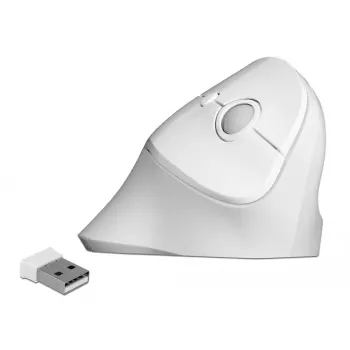 Hiiri DeLOCK 12596 Office oikeakätinen RF Wireless 1600 DPI